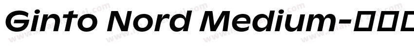 Ginto Nord Medium字体转换